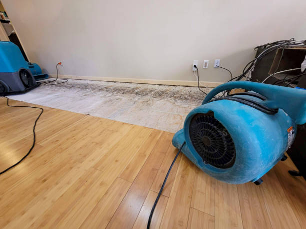 Professional Sewage Cleanup technician working in Rio Frio, TX